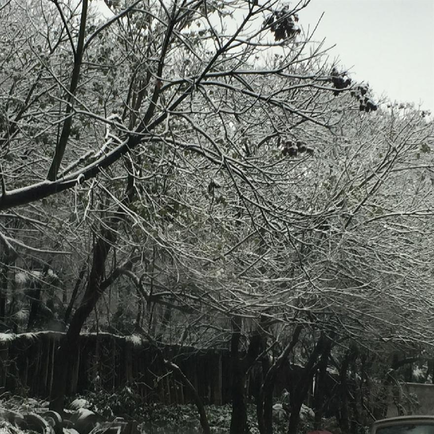 滤油机_重庆的雪美极啦