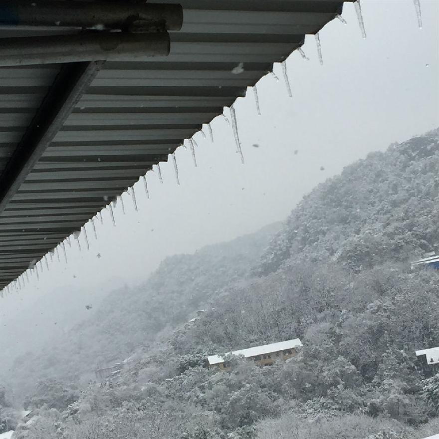 滤油机_重庆的雪美极啦